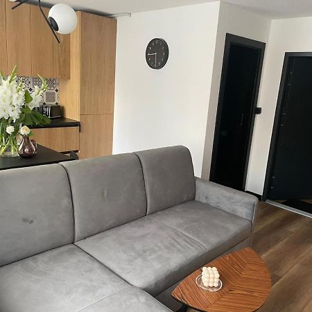 Apartamenty Nadrzeczna 14 Karpacz Exterior photo